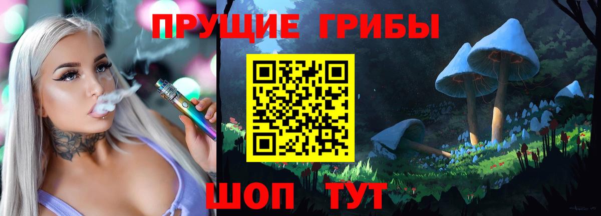 купить   Галлюциногенные грибы MAGIC MUSHROOMS  Вход с VPN  Королёв 